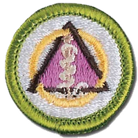 Dentistry merit badge patch