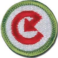 Energy merit badge patch