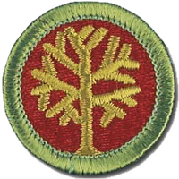 Genealogy merit badge patch