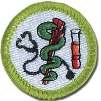 Health Care Professions merit badge patch