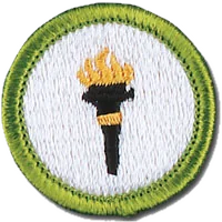 Public Health merit badge patch